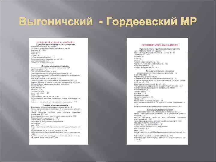 Выгоничский - Гордеевский МР 
