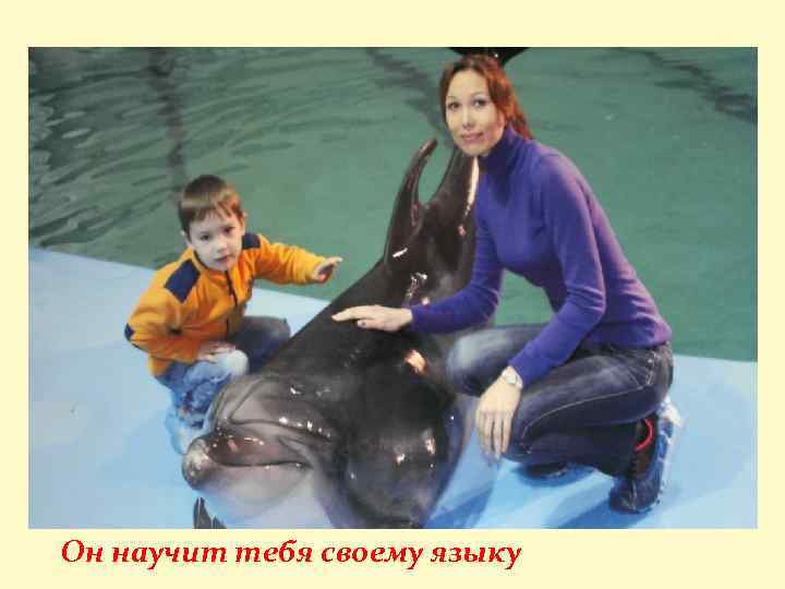 Он научит тебя своему языку 