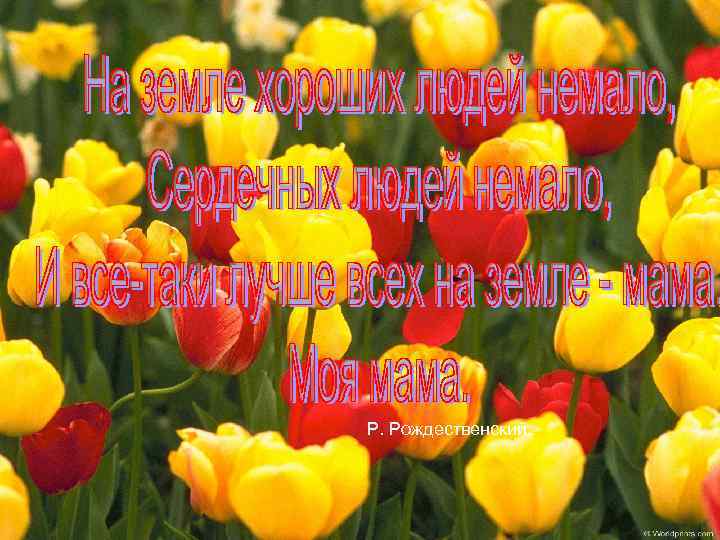 Р. Рождественский. 