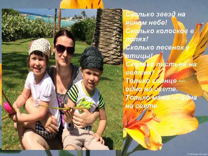 Сколько звезд на ясном небе! Сколько колосков в полях! Сколько песенок y птицы! Сколько