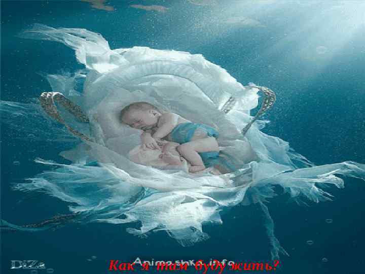 Как я там буду жить? 