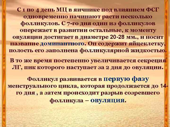 С 1 по 4 день МЦ в яичнике под влиянием ФСГ одновременно начинают расти