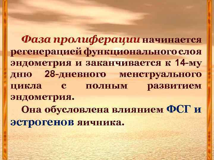 Фаза пролиферации начинается регенерацией функционального слоя эндометрия и заканчивается к 14 -му дню 28