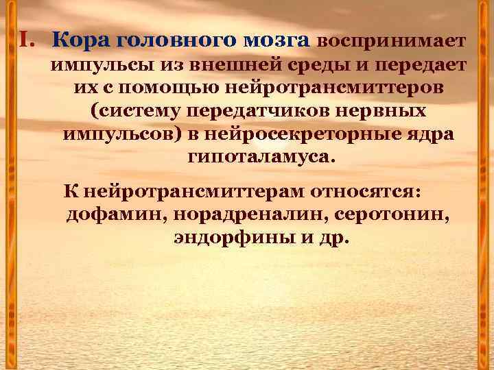 I. Кора головного мозга воспринимает импульсы из внешней среды и передает их с помощью