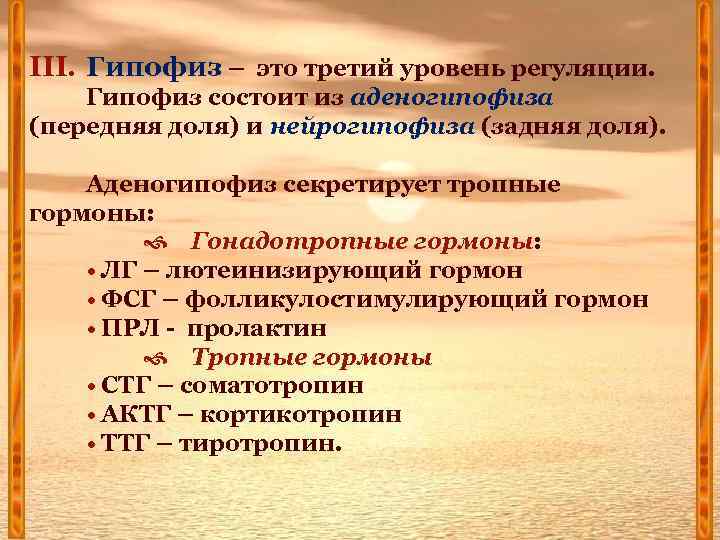 III. Гипофиз – это третий уровень регуляции. Гипофиз состоит из аденогипофиза (передняя доля) и