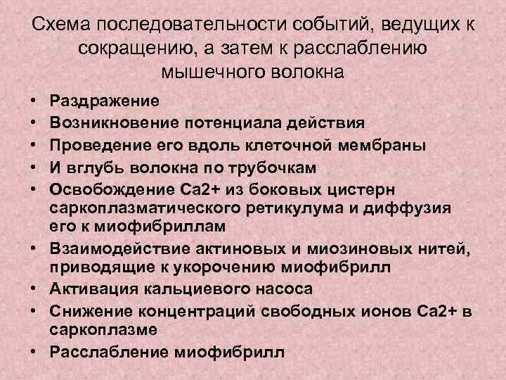 Схема последовательности событий, ведущих к сокращению, а затем к расслаблению мышечного волокна • •