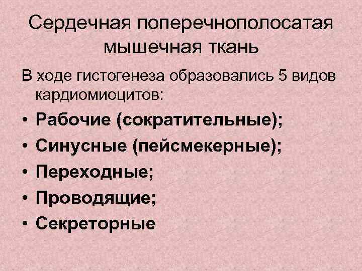 Сердечная поперечнополосатая мышечная ткань В ходе гистогенеза образовались 5 видов кардиомиоцитов: • • •