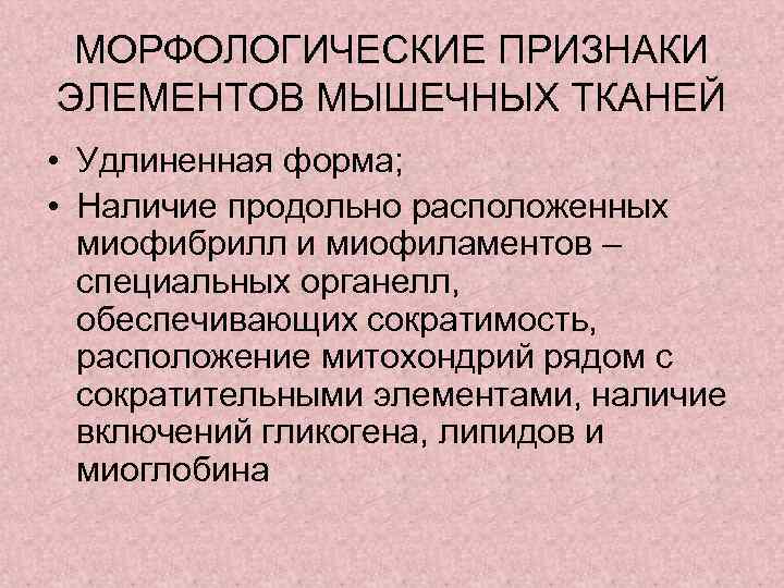 МОРФОЛОГИЧЕСКИЕ ПРИЗНАКИ ЭЛЕМЕНТОВ МЫШЕЧНЫХ ТКАНЕЙ • Удлиненная форма; • Наличие продольно расположенных миофибрилл и