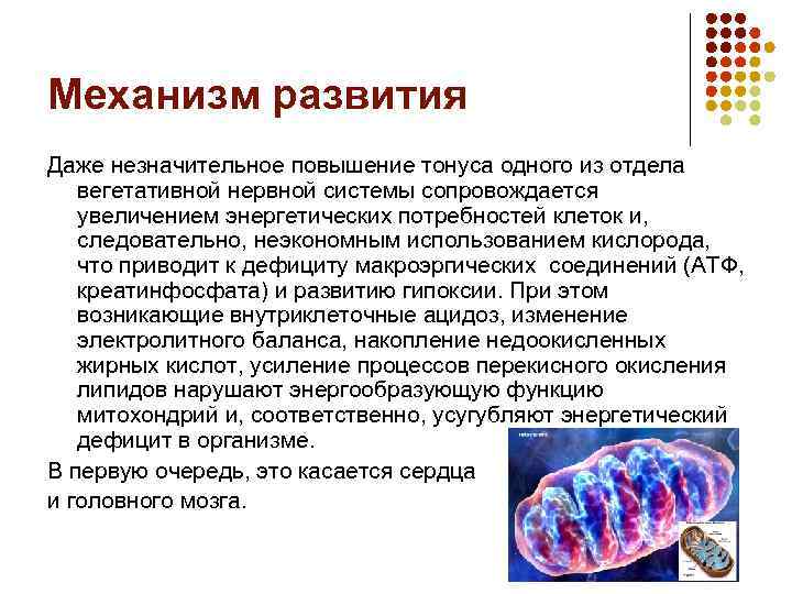 Механизм развития Даже незначительное повышение тонуса одного из отдела вегетативной нервной системы сопровождается увеличением