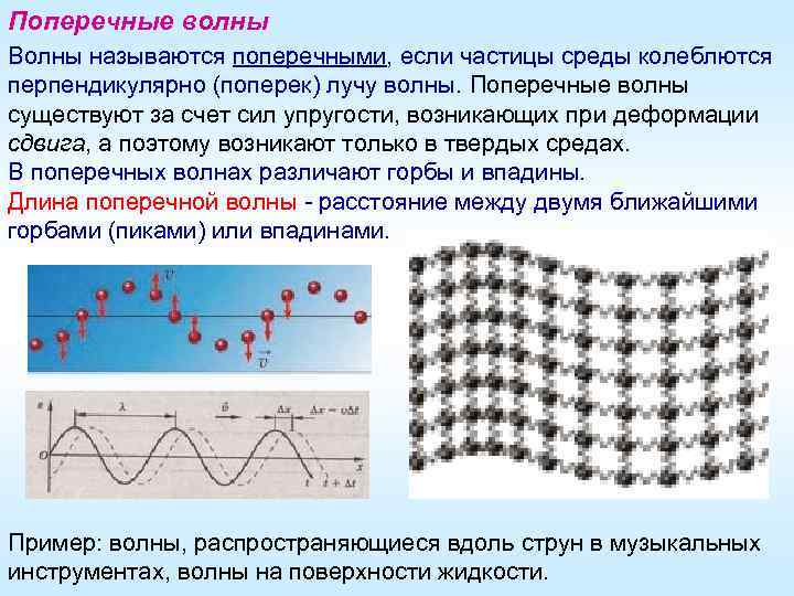 Поперечные волны Волны называются поперечными, если частицы среды колеблются перпендикулярно (поперек) лучу волны. Поперечные