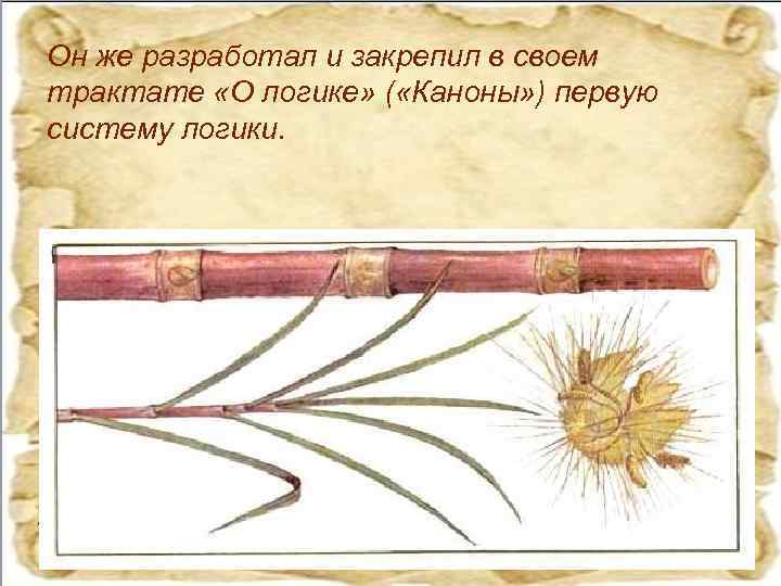 Он же разработал и закрепил в своем трактате «О логике» ( «Каноны» ) первую