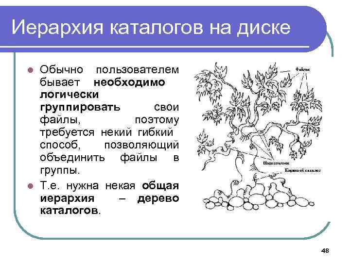 Иерархия каталогов на диске Обычно пользователем бывает необходимо логически группировать свои файлы, поэтому требуется