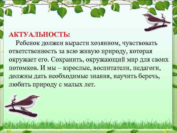 АКТУАЛЬНОСТЬ: Ребенок должен вырасти хозяином, чувствовать ответственность за всю живую природу, которая окружает его.