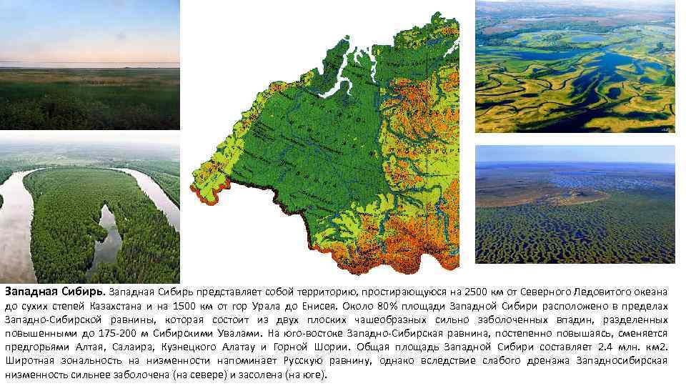 Западная Сибирь представляет собой территорию, простирающуюся на 2500 км от Северного Ледовитого океана до