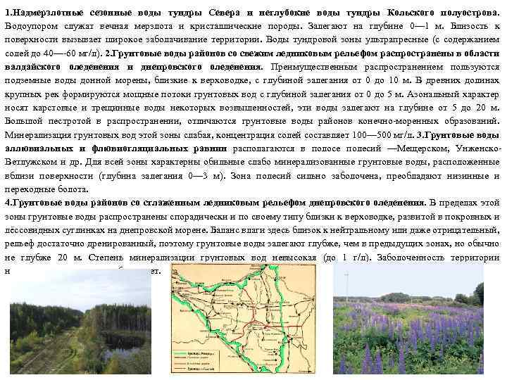 1. Надмерзлотные сезонные воды тундры Севера и неглубокие воды тундры Кольского полуострова. Водоупором служат