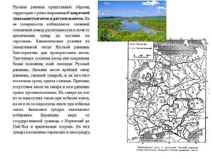 Русская равнина представляет образец территории с резко выраженной широтной зональностью почв и растительности. На
