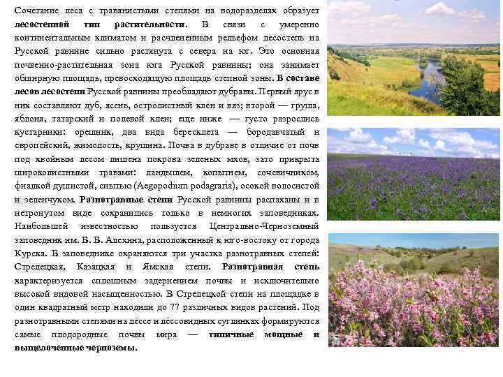 Сочетание леса с травянистыми степями на водоразделах образует лесостепной тип растительности. В связи с