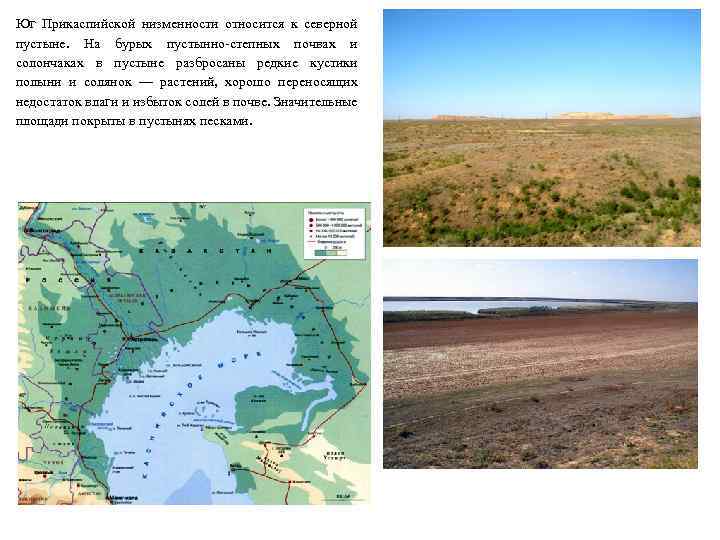 Юг Прикаспийской низменности относится к северной пустыне. На бурых пустынно-степных почвах и солончаках в