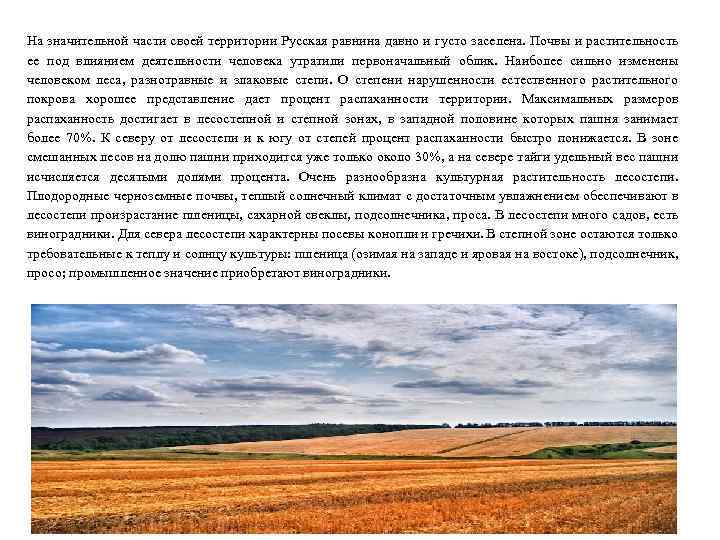 На значительной части своей территории Русская равнина давно и густо заселена. Почвы и растительность