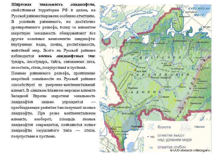 Широтная зональность ландшафтов, свойственная территории РФ в целом, на Русской равнине выражена особенно отчетливо.