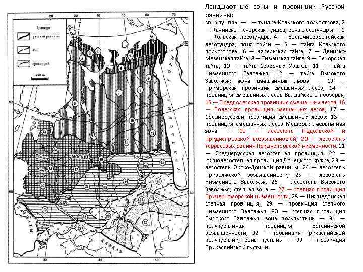 Ландшафтные зоны и провинции Русской равнины: зона тундры — 1— тундра Кольского полуострова, 2