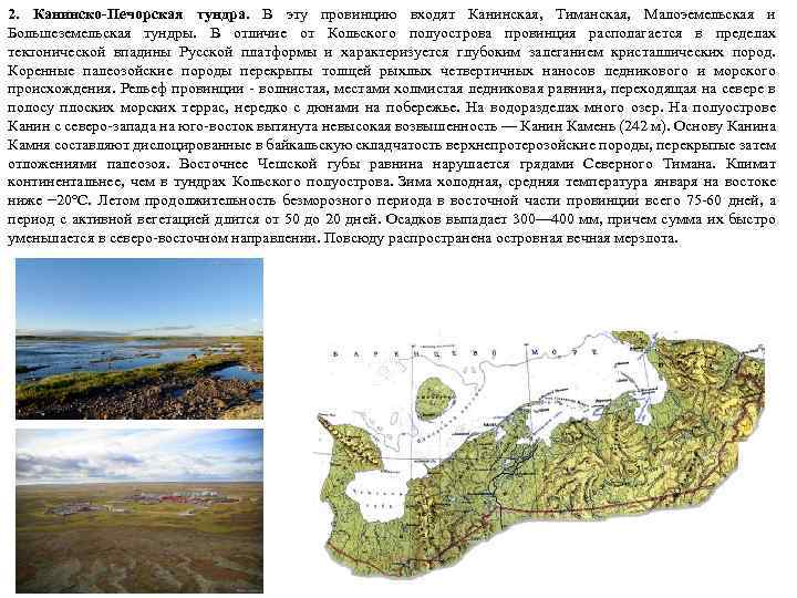 2. Канинско-Печорская тундра. В эту провинцию входят Канинская, Тиманская, Малоэемельская и Большеземельская тундры. В