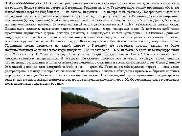 3. Двинско-Мезенская тайга. Территория провинции заключена между Карелией на западе и Тиманским кряжем на