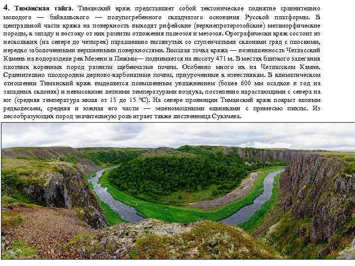 4. Тиманская тайга. Тиманский кряж представляет собой тектоническое поднятие сравнительно молодого — байкальского —
