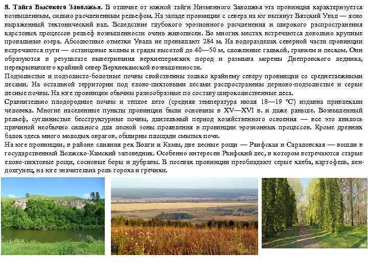 8. Тайга Высокого Заволжья. В отличие от южной тайги Низменного Заволжья эта провинция характеризуется