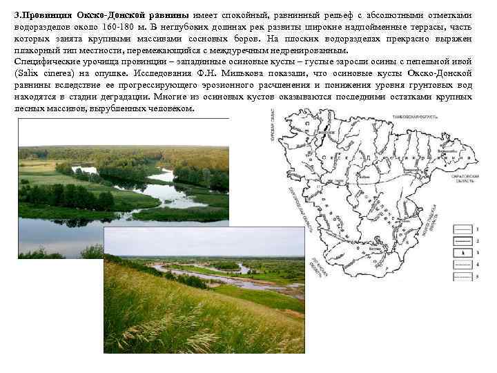 3. Провинция Окско-Донской равнины имеет спокойный, равнинный рельеф с абсолютными отметками водоразделов около 160