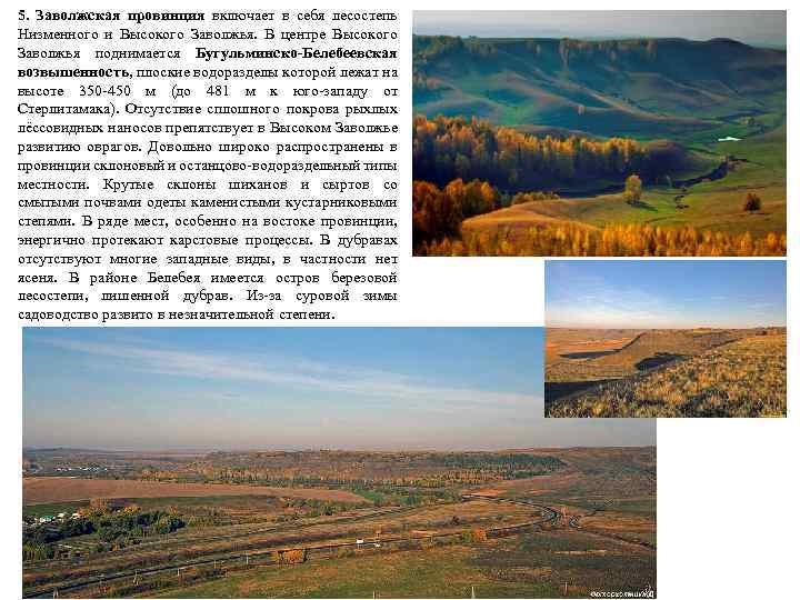 5. Заволжская провинция включает в себя лесостепь Низменного и Высокого Заволжья. В центре Высокого
