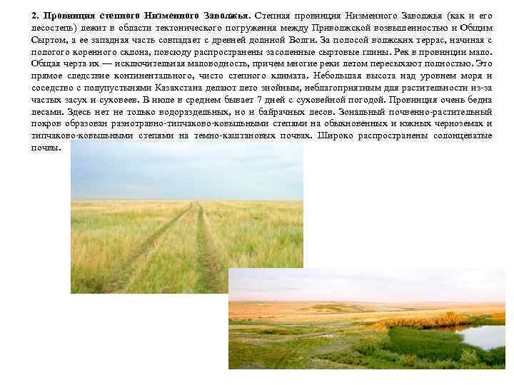 2. Провинция степного Низменного Заволжья. Степная провинция Низменного Заволжья (как и его лесостепь) лежит