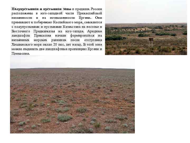 Полупустынная и пустынная зоны в пределах России расположены в юго-западной части Прикаспийской низменности и