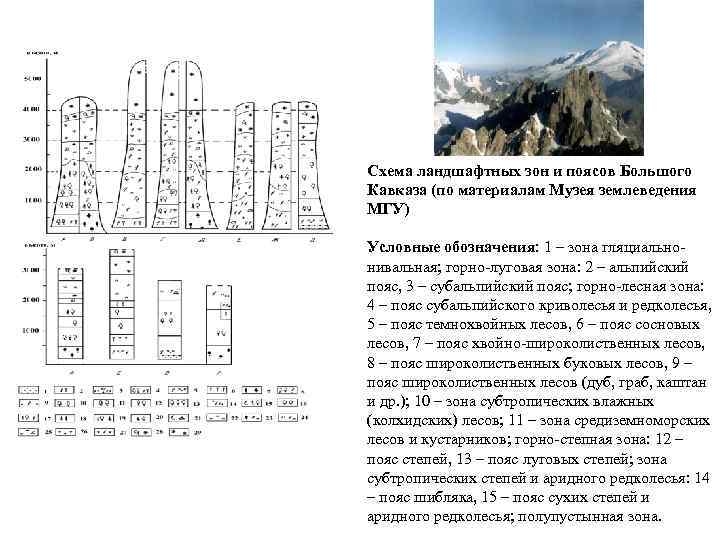 Схема ландшафтных зон и поясов Большого Кавказа (по материалам Музея землеведения МГУ) Условные обозначения: