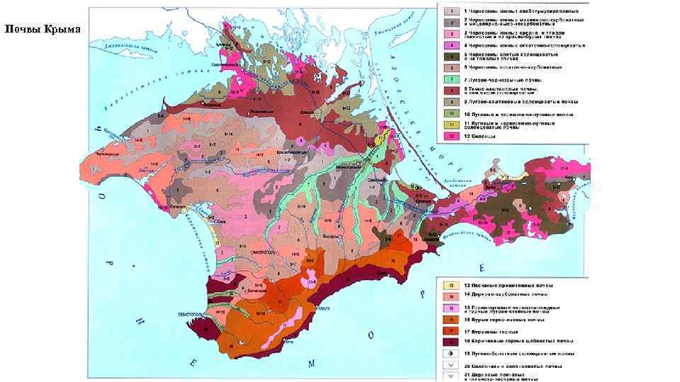 Почвы Крыма 