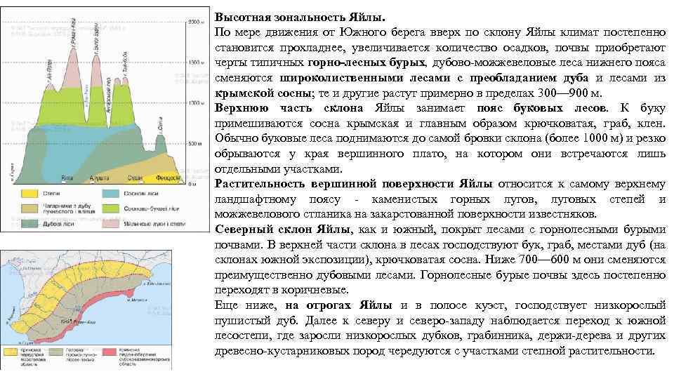Высотная зональность Яйлы. По мере движения от Южного берега вверх по склону Яйлы климат