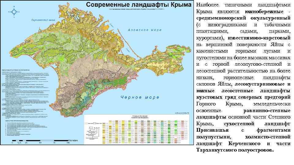 Наиболее типичными ландшафтами Крыма являются южнобережные - средиземноморский окультуренный (с виноградниками и табачными плантациями,