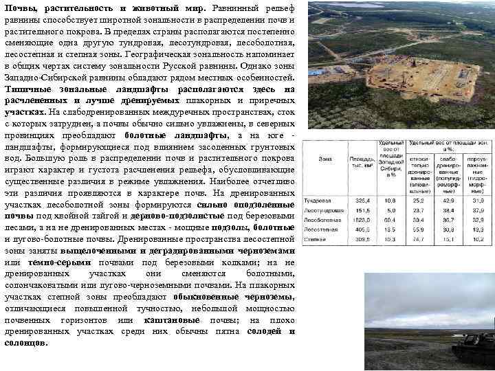 Почвы, растительность и животный мир. Равнинный рельеф равнины способствует широтной зональности в распределении почв