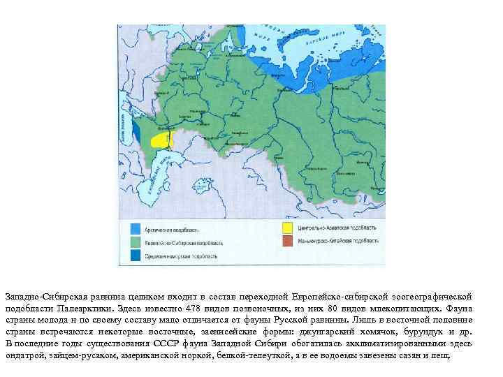 Западно-Сибирская равнина целиком входит в состав переходной Европейско-сибирской зоогеографической подобласти Палеарктики. Здесь известно 478
