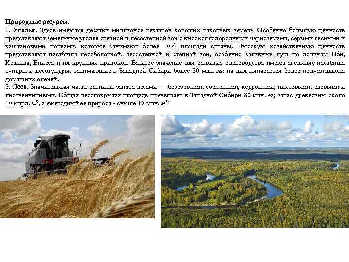 Природные ресурсы. 1. Угодья. Здесь имеются десятки миллионов гектаров хороших пахотных земель. Особенно большую