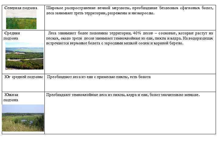  Северная подзона Широкое распространение вечной мерзлоты, преобладание безлесных сфагновых болот, леса занимают треть
