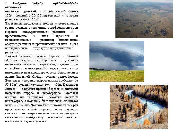В Западной Сибири прослеживается несколько высотных уровней: : самый низкий (менее 100 м); средний