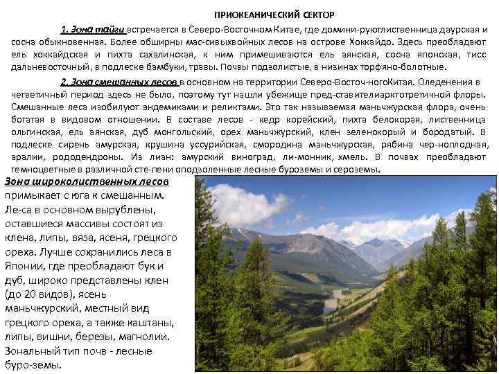 ПРИОКЕАНИЧЕСКИЙ СЕКТОР 1. Зона тайги встречается в Северо Восточном Китае, где домини руютлиственница даурская