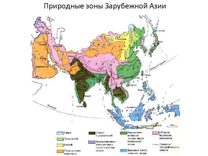Природные зоны Зарубежной Азии 