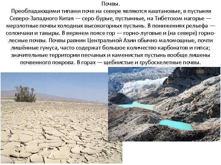 Почвы. Преобладающими типами почв на севере являются каштановые, в пустынях Северо Западного Китая —