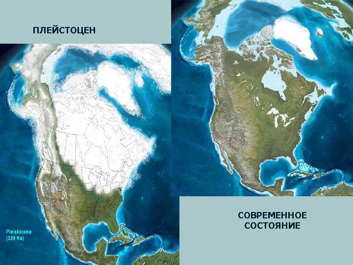 ПЛЕЙСТОЦЕН СОВРЕМЕННОЕ СОСТОЯНИЕ 