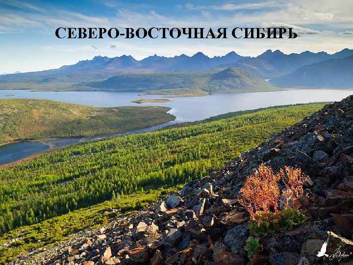 СЕВЕРО-ВОСТОЧНАЯ СИБИРЬ 