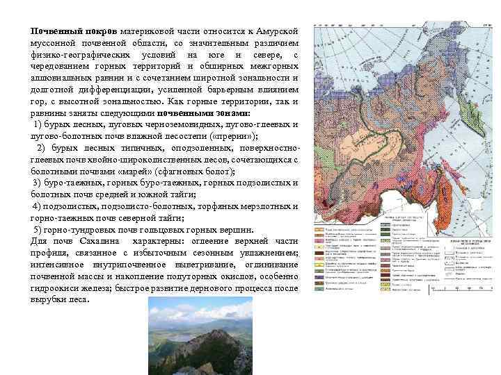 Почвенный покров материковой части относится к Амурской муссонной почвенной области, со значительным различием физико