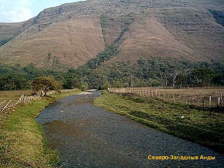 Северо-Западные Анды 