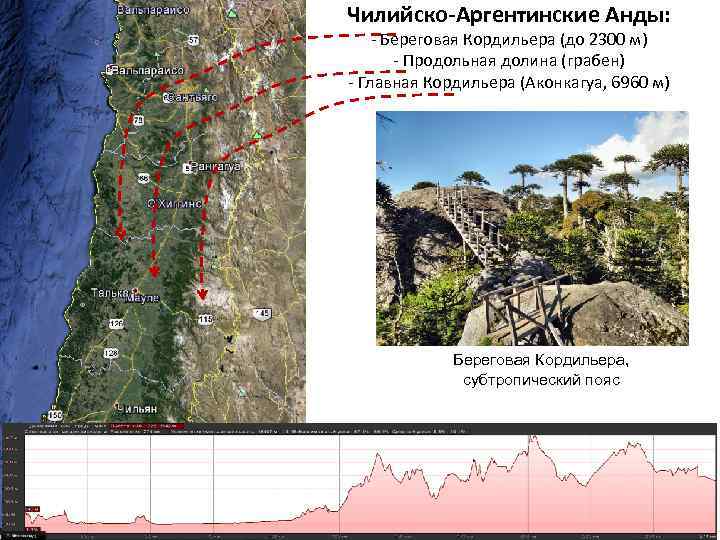 Чилийско-Аргентинские Анды: - Береговая Кордильера (до 2300 м) - Продольная долина (грабен) - Главная